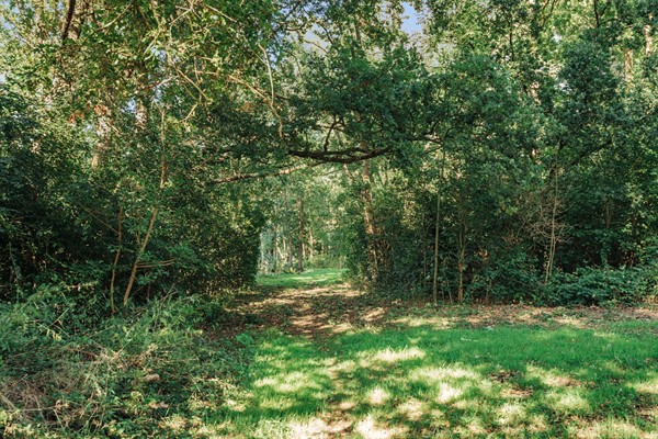 Medium property photo - Du Perronlaan 1, 1422 CP Uithoorn